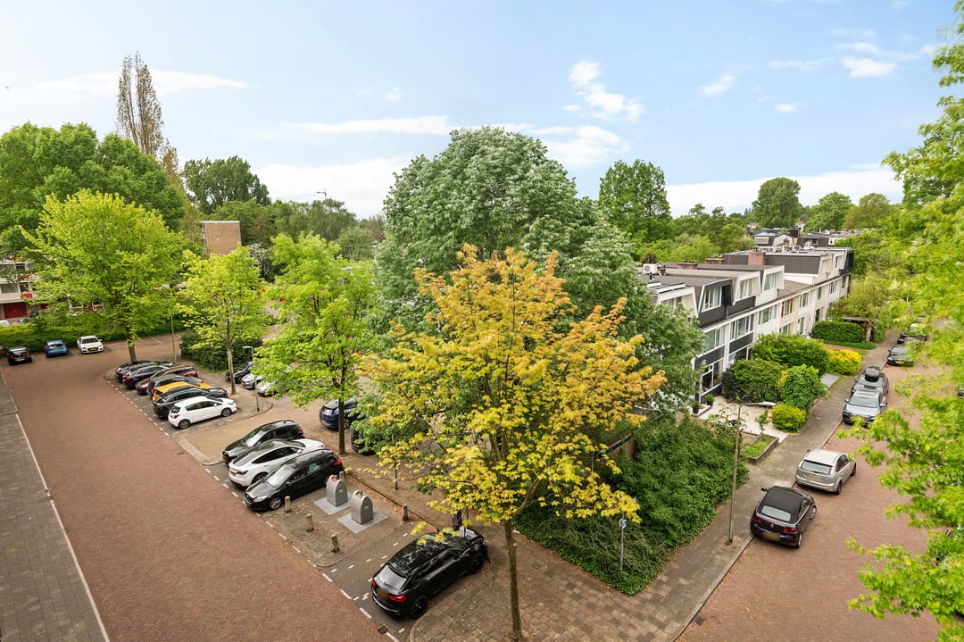 Photo 28 of Biesbosch 203