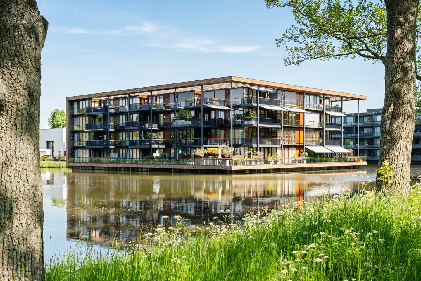 Foto 4 van Lamsrustlaan 55