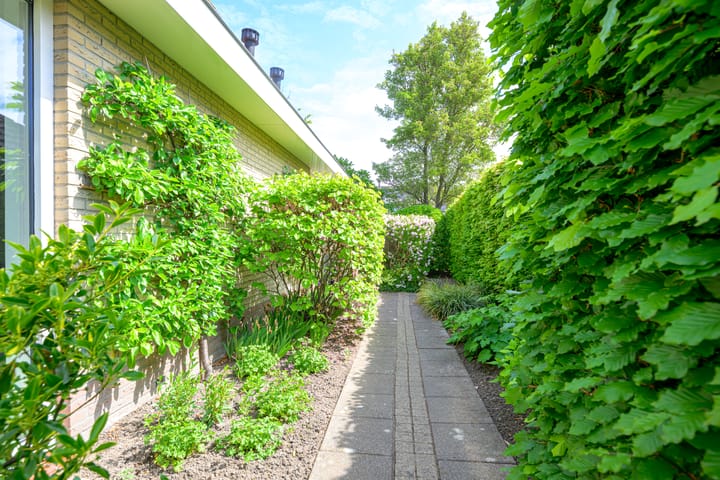 Foto 40 van Zorgvlietlaan 10