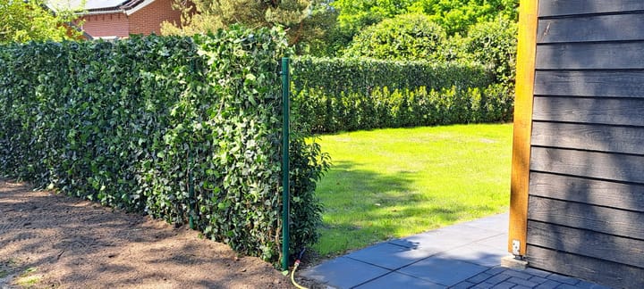 Foto 65 van Dorpsstraat 11