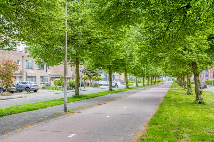 Photo 44 of Arendschelling 91