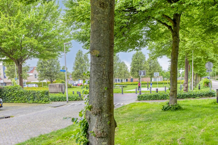 Photo 45 of Arendschelling 91