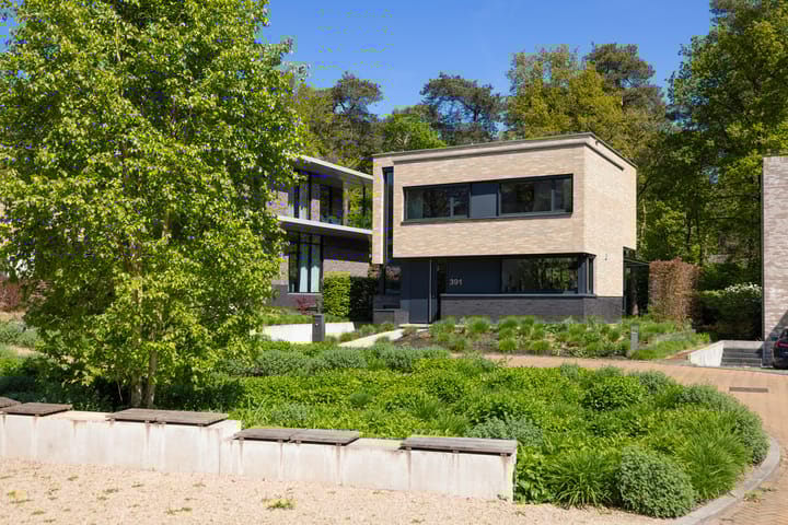 Foto 5 van Utrechtseweg 391