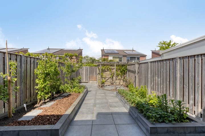 Foto 4 van Boogschutter 5