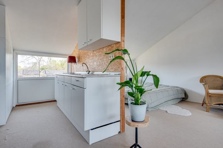 Foto 21 van Buitenpepersdreef 269