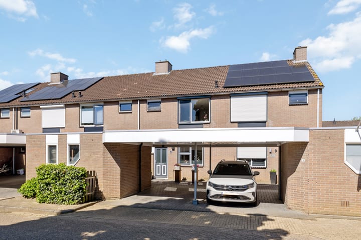 Foto 1 van Lijster 7