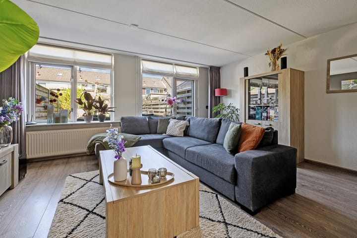 Foto 5 van Lijster 7