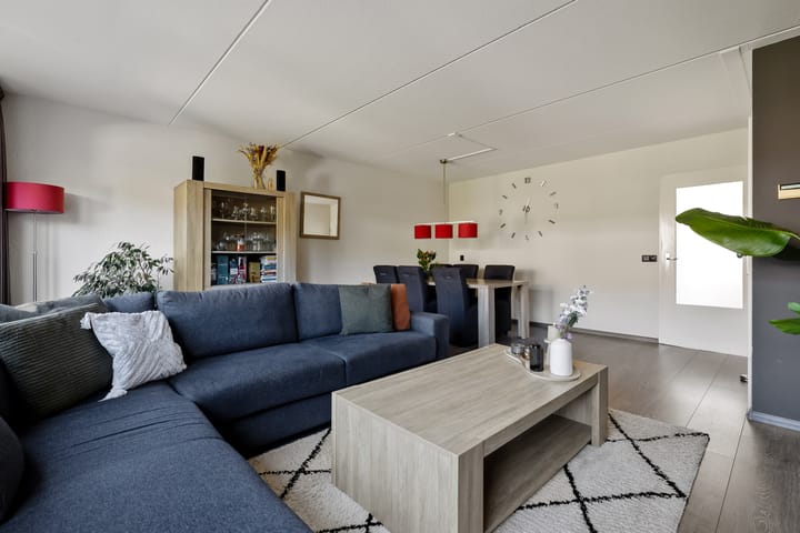 Foto 7 van Lijster 7