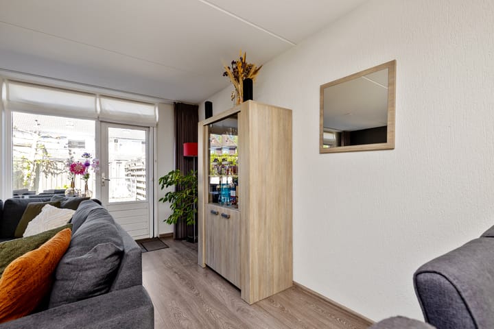 Foto 9 van Lijster 7