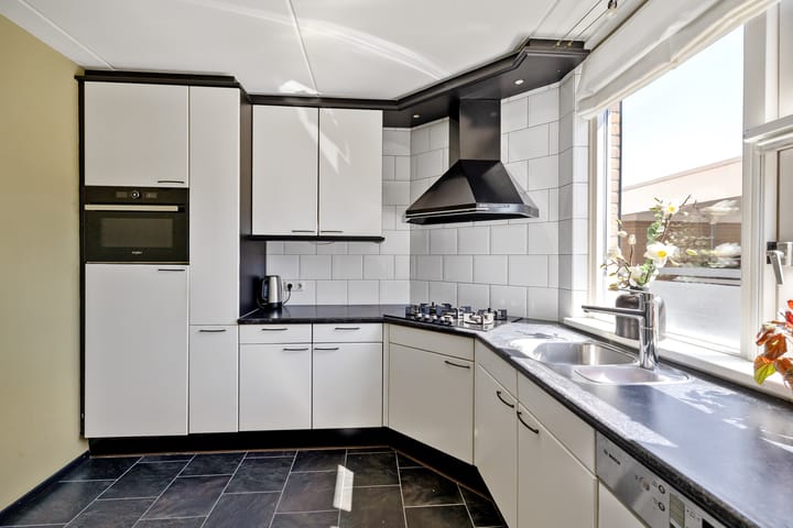 Foto 12 van Lijster 7