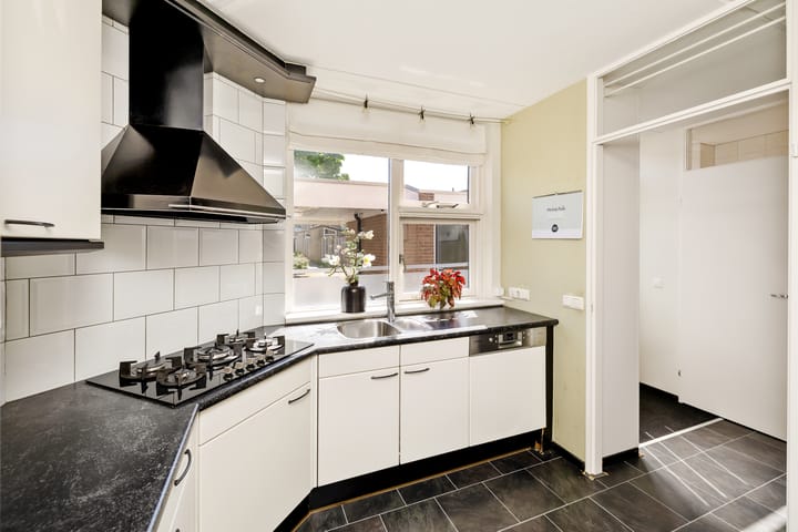 Foto 13 van Lijster 7