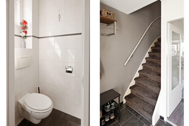 Foto 14 van Lijster 7