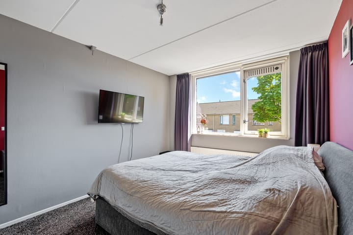 Foto 15 van Lijster 7