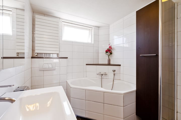 Foto 19 van Lijster 7