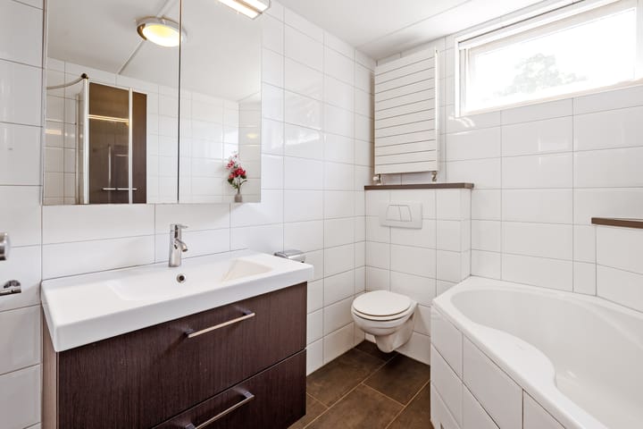 Foto 20 van Lijster 7