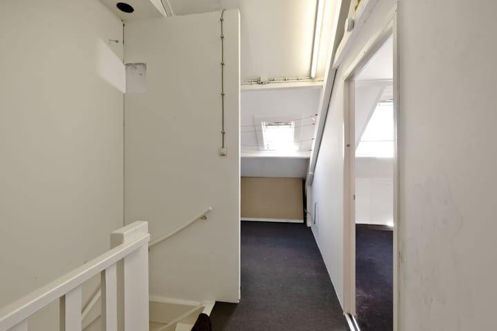 Foto 23 van Lijster 7