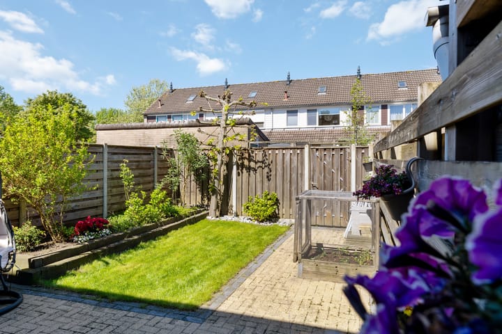 Foto 25 van Lijster 7