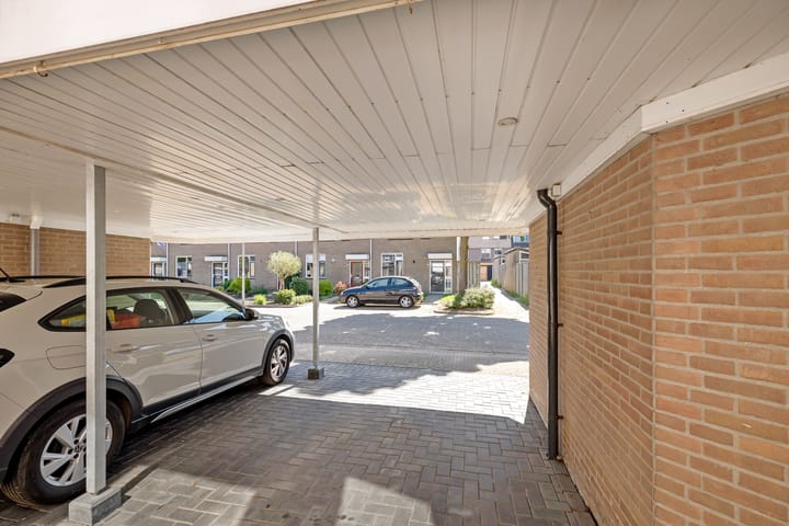 Foto 30 van Lijster 7