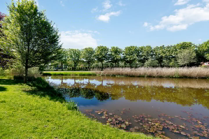 Foto 32 van Lijster 7