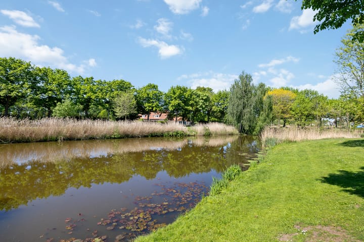 Foto 33 van Lijster 7