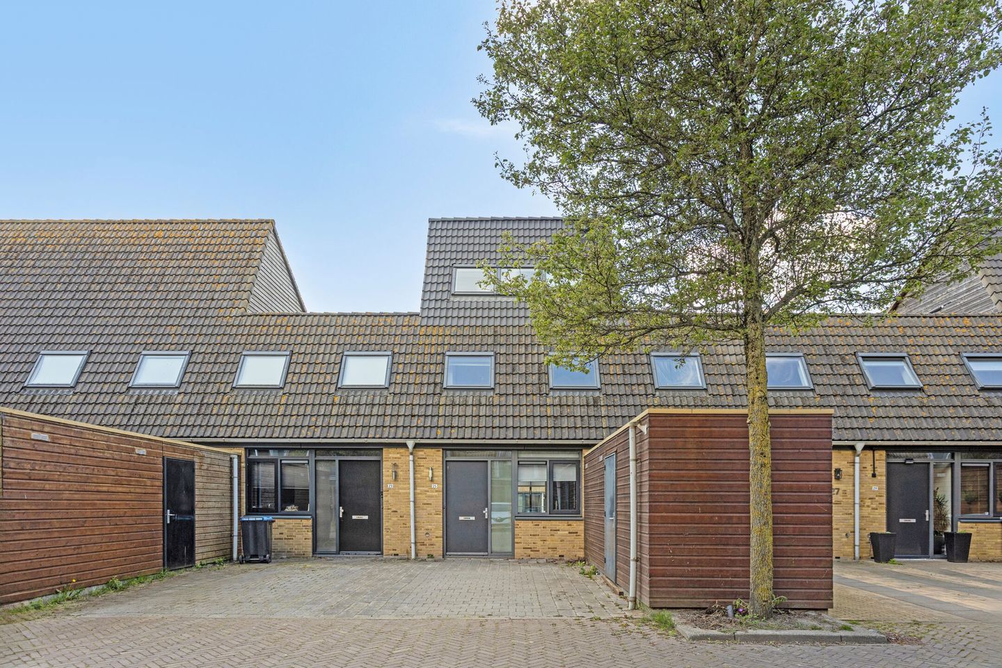 Foto 25 van Windhalm 25