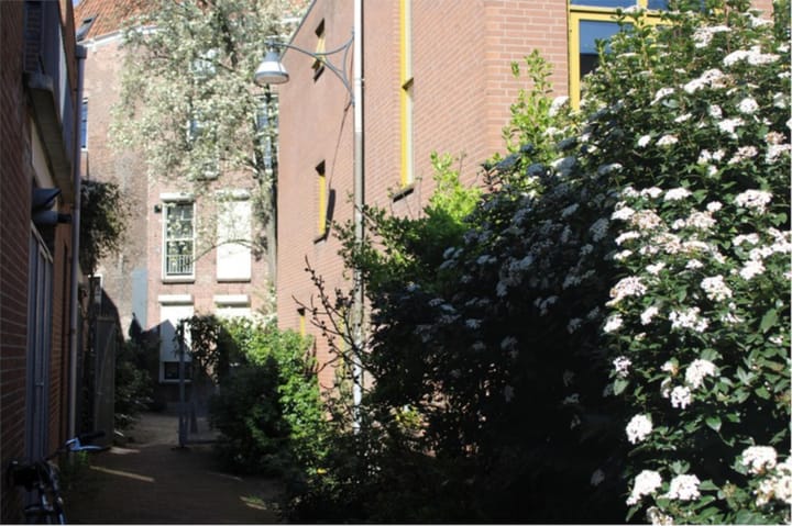 Foto 37 van Waterstraat 2