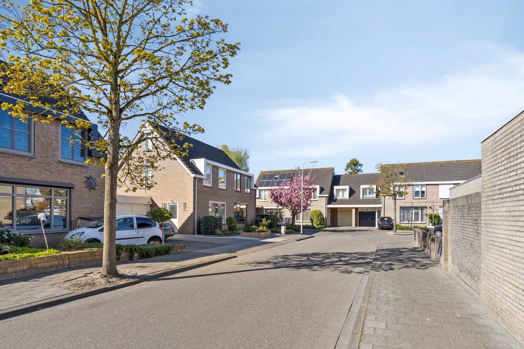 Foto 32 van Hoveniersberg 7