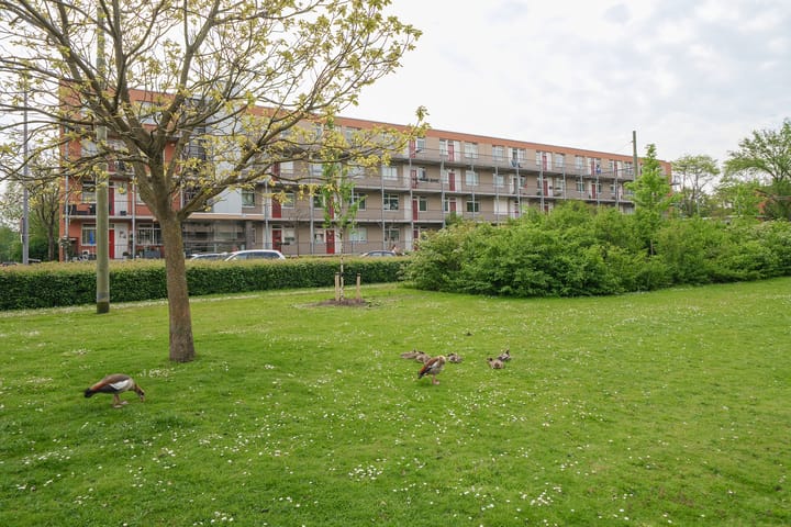 Foto 5 van Wilgenlei 104-B