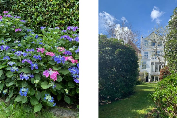 Foto 5 van Essenlaan 74