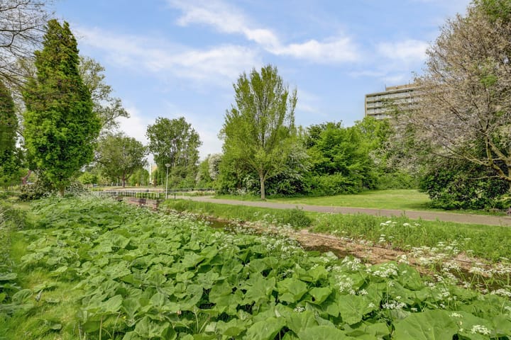 Foto 24 van Louis Davidsstraat 182