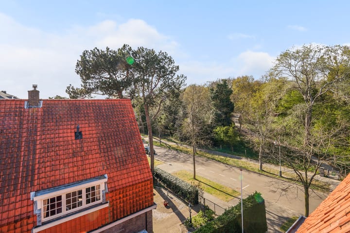 Foto 60 van Laan van Poot 188