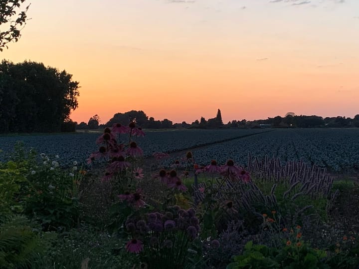 Foto 40 van Kleingouw 87-A