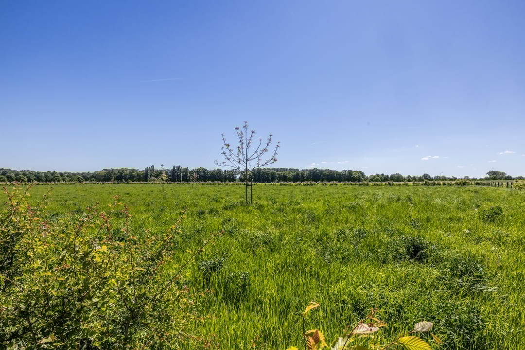 Foto 91 van Esschenderweg 1