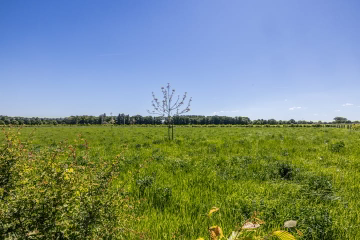 Foto 91 van Esschenderweg 1