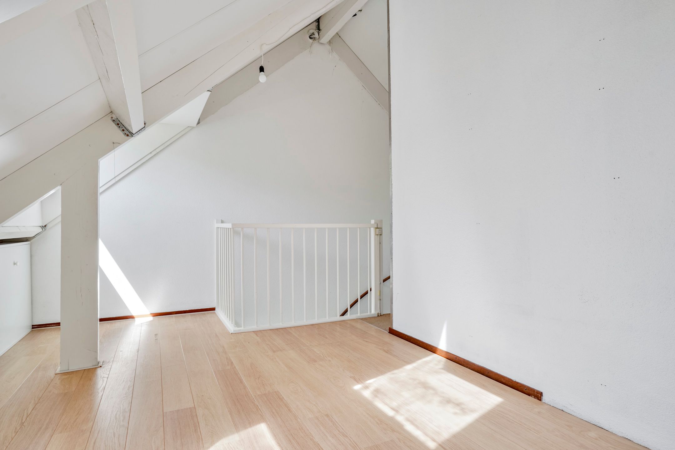 Foto 27 van Jan Palachstraat 1