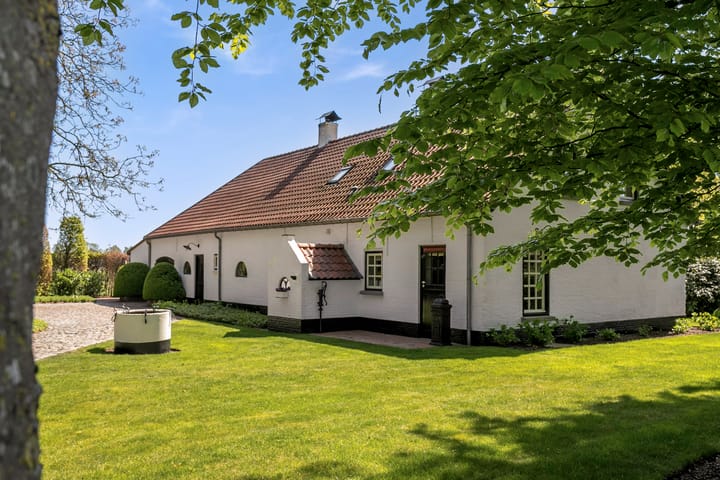 Foto 46 van de Brand 4