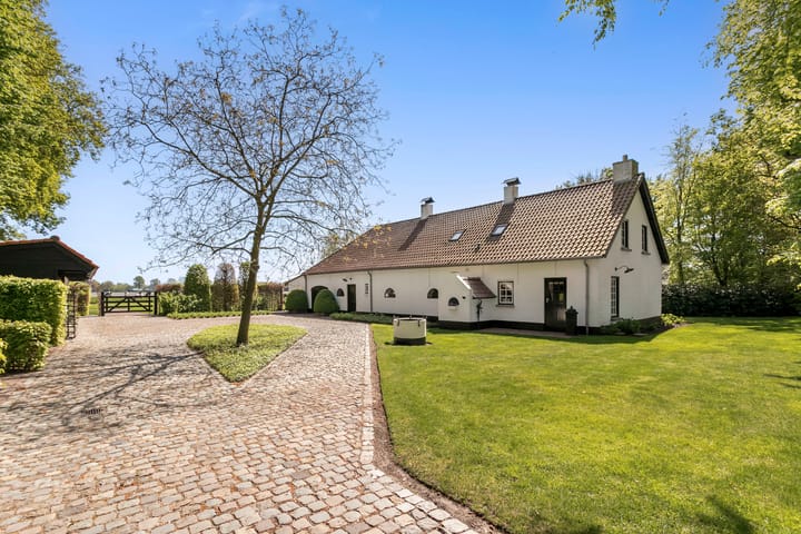 Foto 47 van de Brand 4