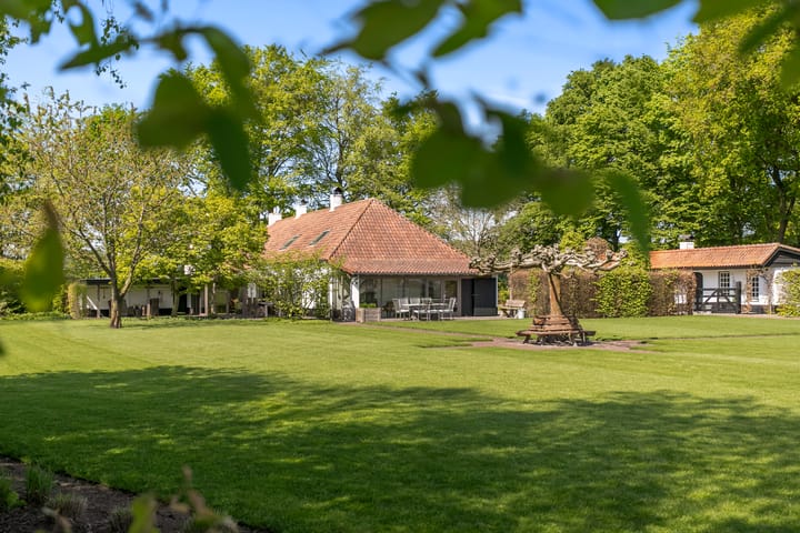 Foto 55 van de Brand 4