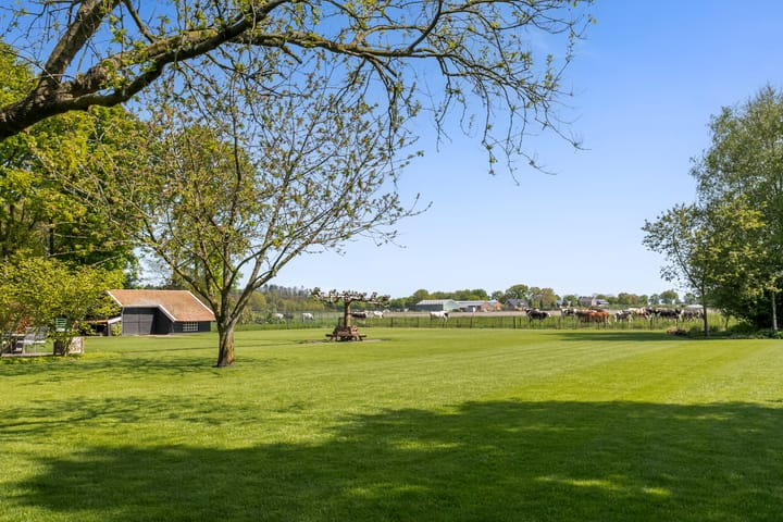 Foto 64 van de Brand 4