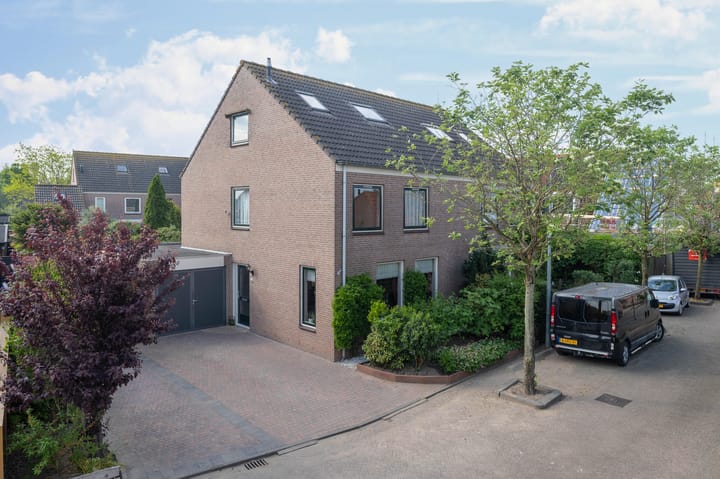 Foto 1 van Gerbera 29