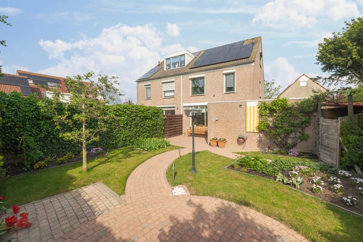 Foto 3 van Gerbera 29