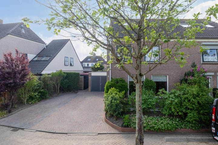 Foto 4 van Gerbera 29