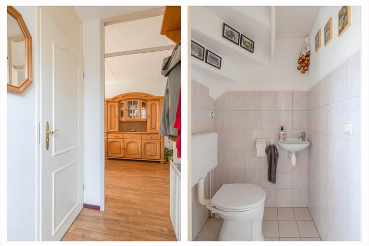 Foto 6 van Gerbera 29