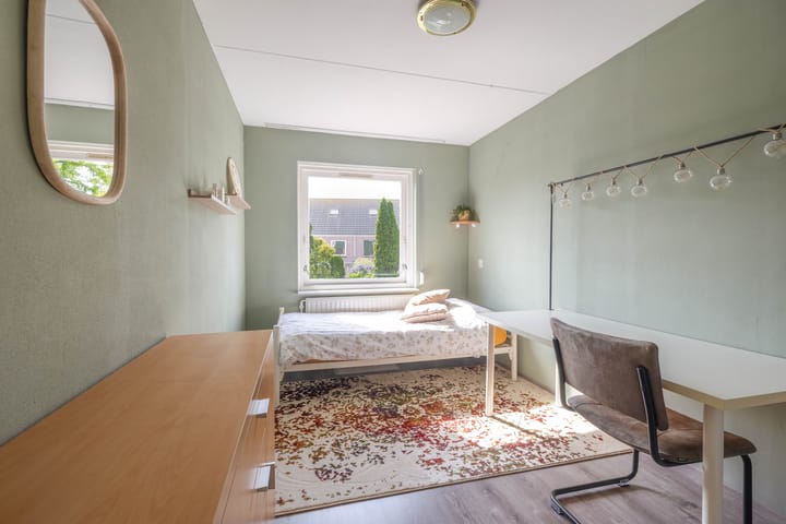 Foto 19 van Gerbera 29