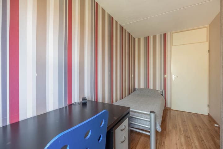 Foto 18 van Gerbera 29