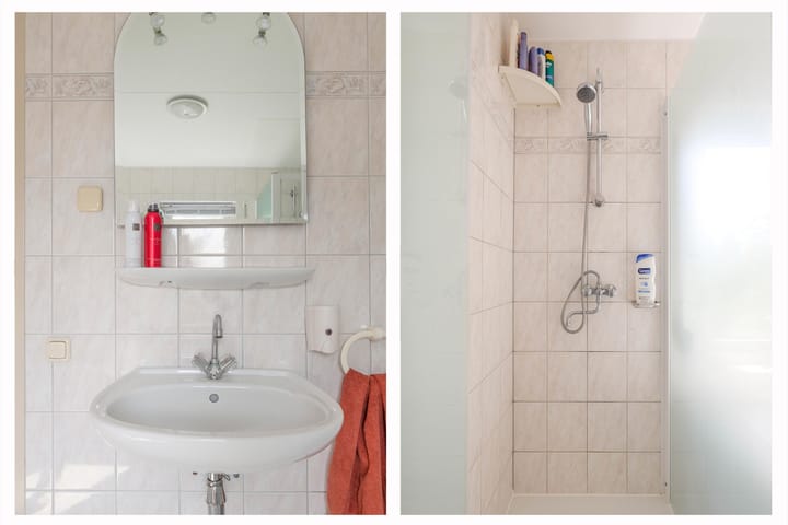 Foto 22 van Gerbera 29