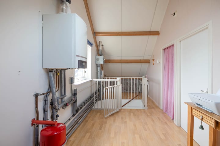 Foto 24 van Gerbera 29