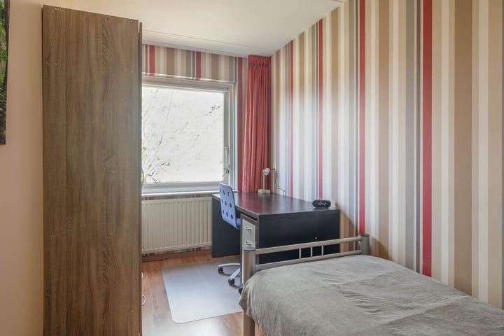 Foto 17 van Gerbera 29