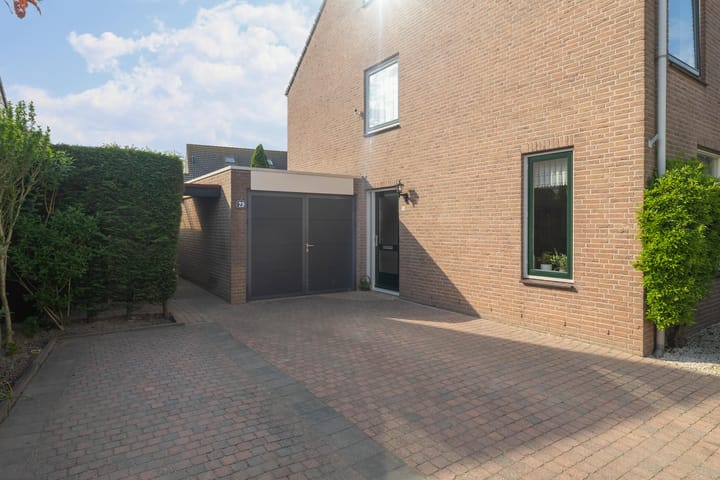 Foto 27 van Gerbera 29