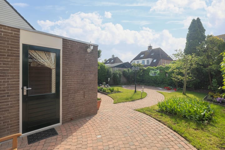 Foto 30 van Gerbera 29